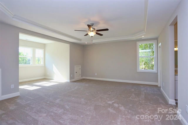 spare room with ornamental molding, a wealth of natural light, and a tray ceiling