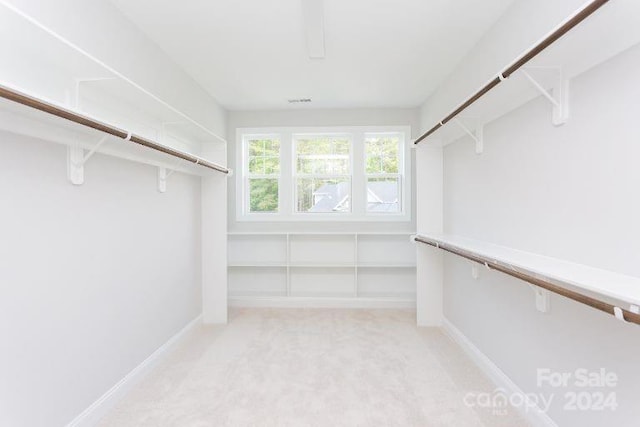 spacious closet featuring light colored carpet