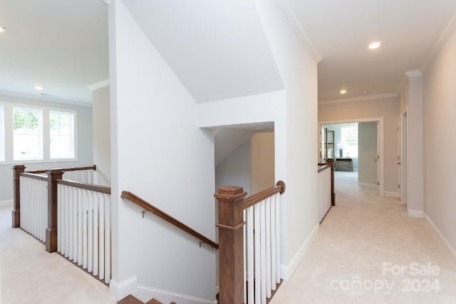 corridor with light colored carpet and ornamental molding