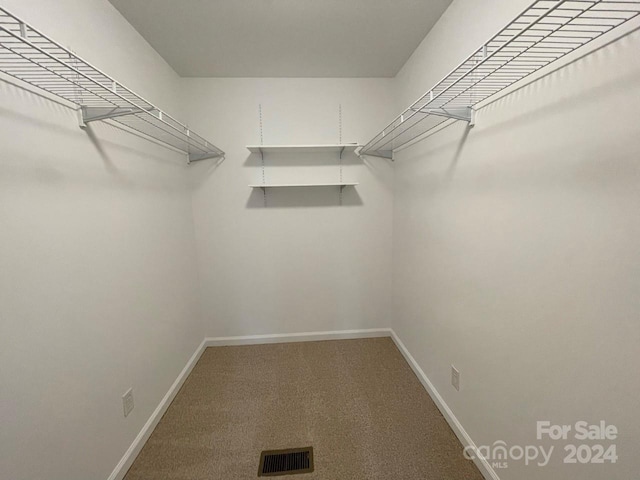 walk in closet with carpet floors