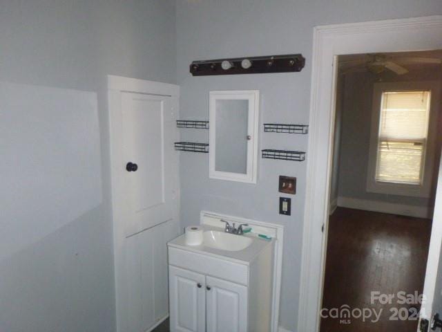 bathroom featuring hardwood / wood-style floors and vanity