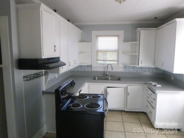 kitchen with white cabinetry, sink, crown molding, and ventilation hood