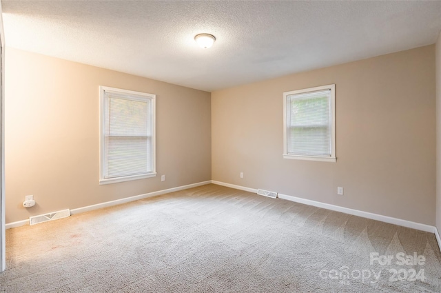 carpeted empty room with plenty of natural light and a textured ceiling