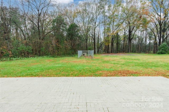 view of yard with a patio area