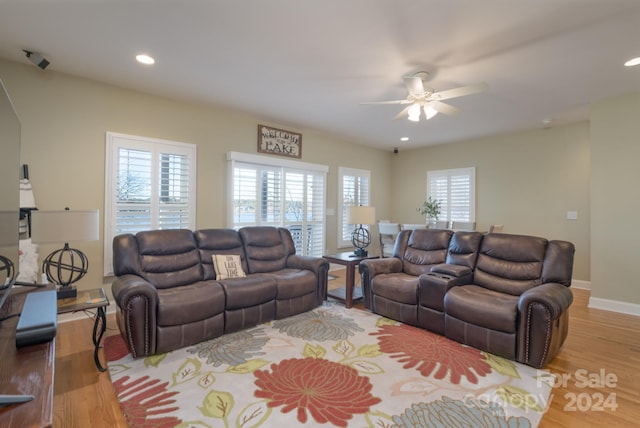 living room with ceiling fan and wood-type flooring