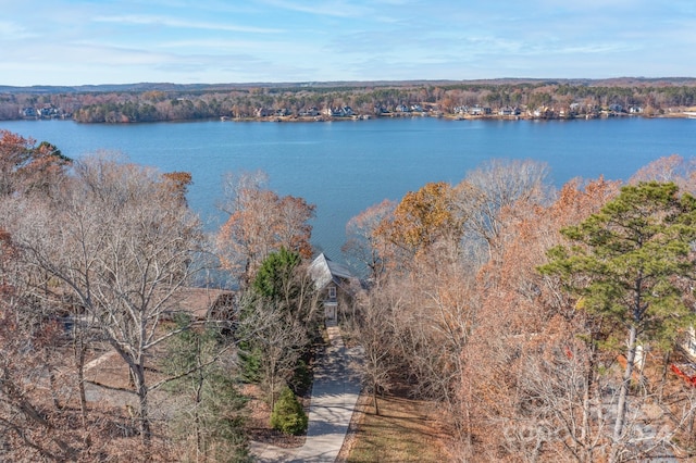 property view of water