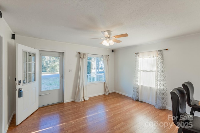 office featuring ceiling fan, a textured ceiling, and light hardwood / wood-style flooring