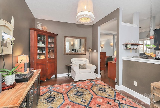 living area with dark hardwood / wood-style flooring