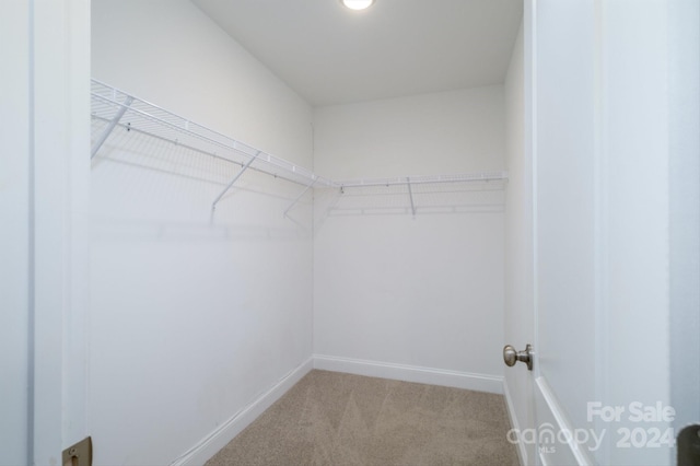 walk in closet with light carpet