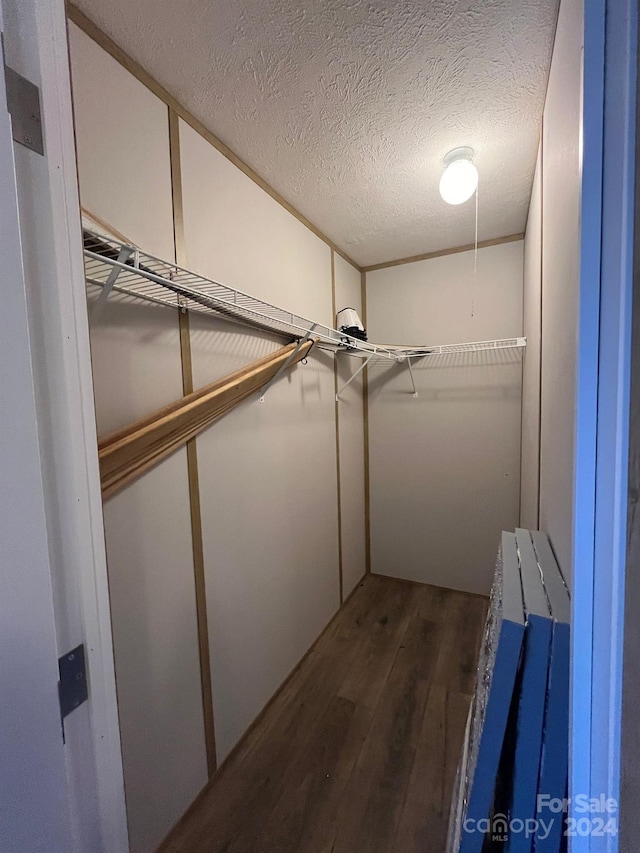 spacious closet with dark hardwood / wood-style floors