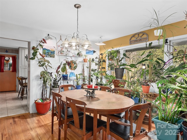 dining space featuring a healthy amount of sunlight, hardwood / wood-style flooring, and a notable chandelier