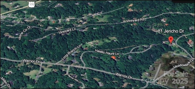 81 Jericho Dr, Tryon, NC 28782 - aerial overview of property's location