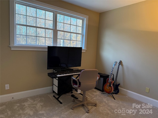 carpeted office with a healthy amount of sunlight