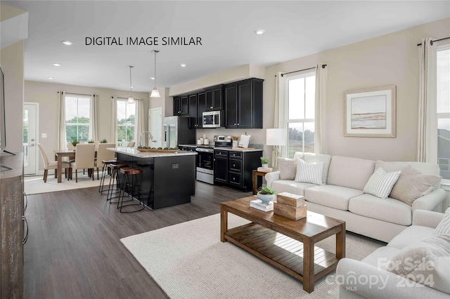 living room featuring dark hardwood / wood-style flooring and sink