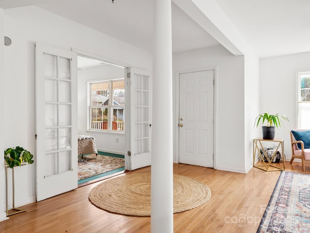 entryway featuring wood-type flooring