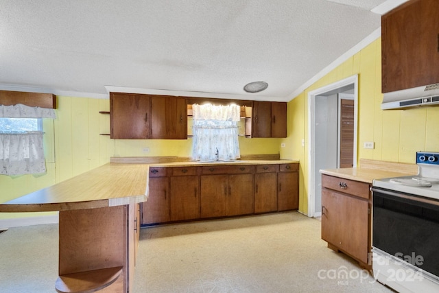 kitchen featuring sink, white range with electric stovetop, a textured ceiling, exhaust hood, and ornamental molding