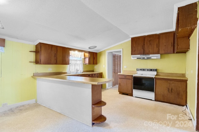 kitchen with lofted ceiling, light carpet, exhaust hood, electric stove, and kitchen peninsula