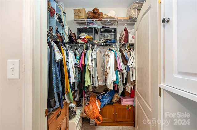 view of spacious closet