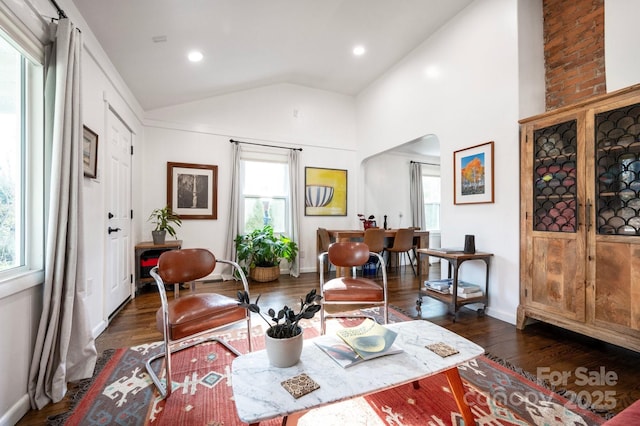 sitting room with dark hardwood / wood-style floors, a wealth of natural light, and vaulted ceiling