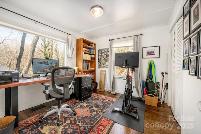 office space with dark hardwood / wood-style flooring