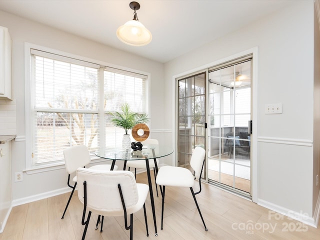 dining room with light hardwood / wood-style flooring