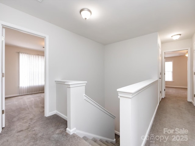 hallway with light carpet