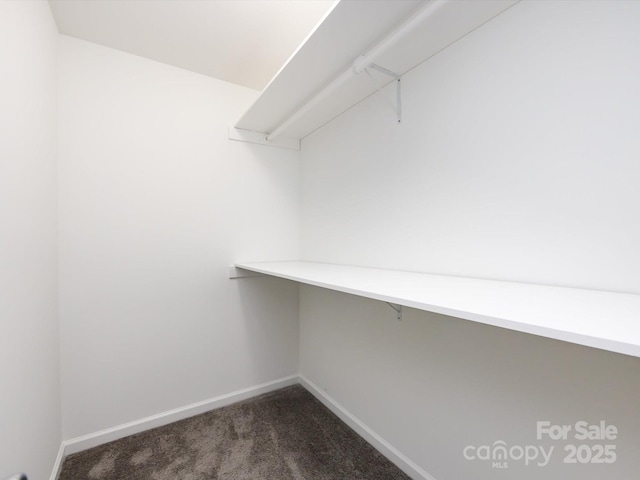 spacious closet with dark carpet