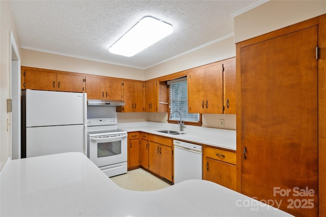 kitchen with a textured ceiling, white appliances, ornamental molding, and sink