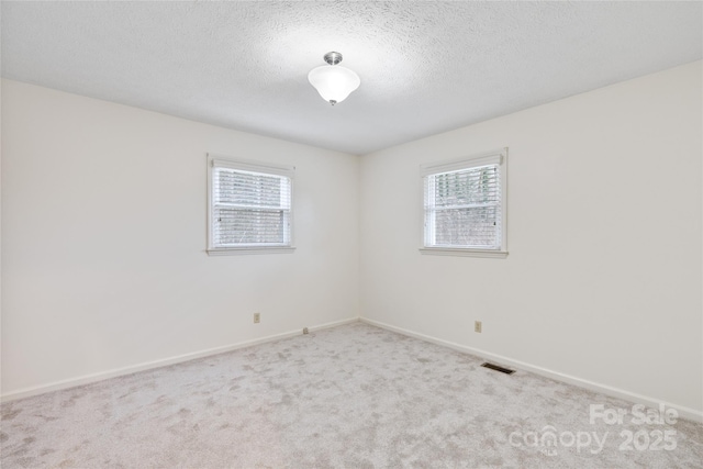 spare room with a textured ceiling, a healthy amount of sunlight, and light carpet