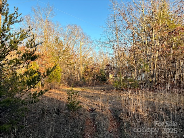 view of local wilderness