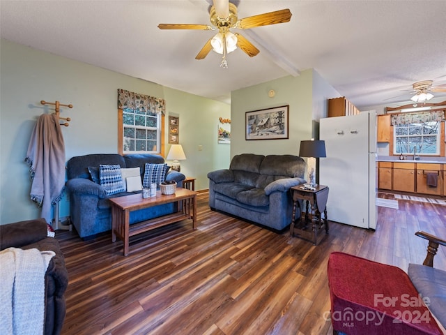 living room with beamed ceiling, a textured ceiling, dark hardwood / wood-style floors, and sink