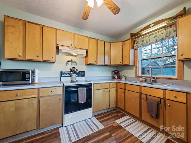 kitchen featuring sink, white electric stove, ceiling fan, a textured ceiling, and dark hardwood / wood-style flooring