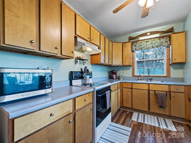 kitchen with white electric range, sink, dark hardwood / wood-style floors, ceiling fan, and a textured ceiling