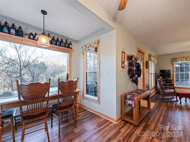 dining area featuring a healthy amount of sunlight, dark hardwood / wood-style flooring, and a textured ceiling