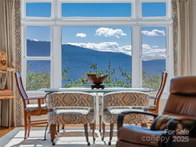 20 Red Plum Ln, Black Mountain, NC 28711 - interior space featuring a mountain view