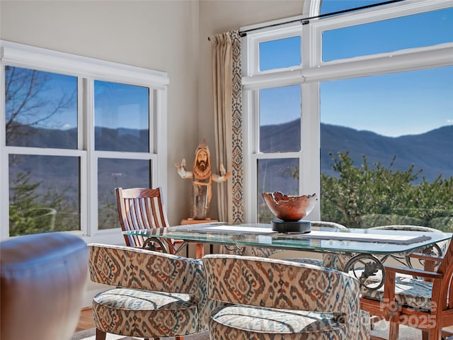 20 Red Plum Ln, Black Mountain, NC 28711 - dining space featuring a mountain view
