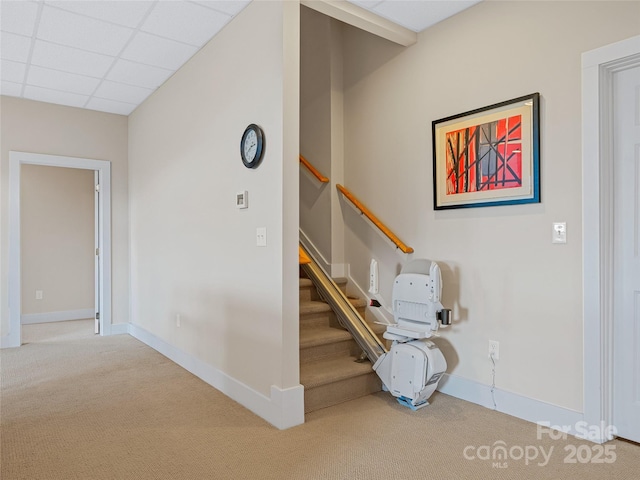 20 Red Plum Ln, Black Mountain, NC 28711 - staircase with carpet floors, a paneled ceiling, and baseboards