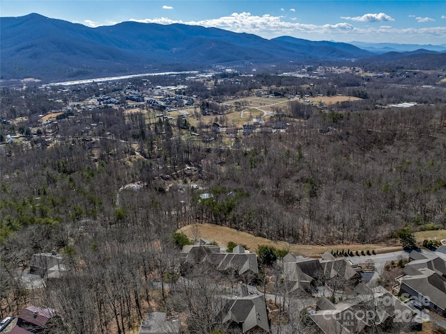 20 Red Plum Ln, Black Mountain, NC 28711 - aerial view featuring a mountain view