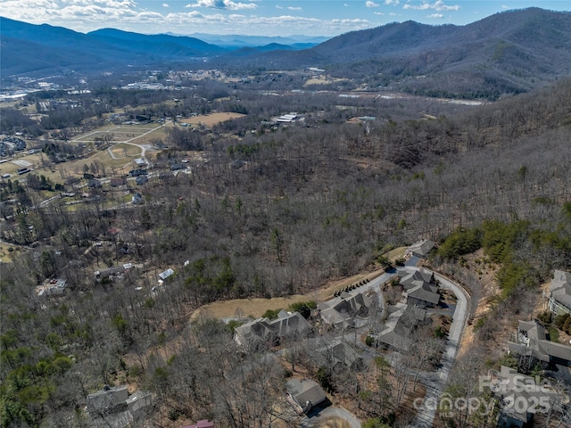 20 Red Plum Ln, Black Mountain, NC 28711 - drone / aerial view featuring a mountain view