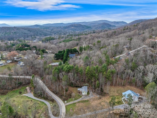 aerial view with a mountain view