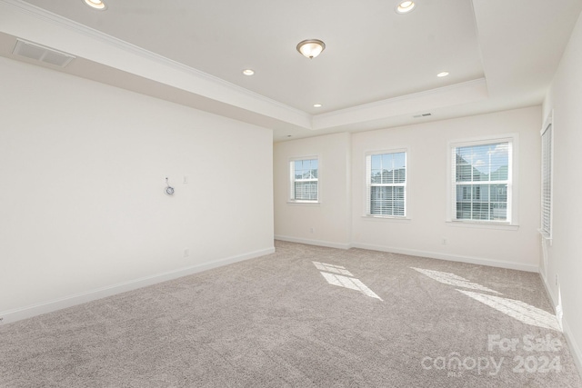 carpeted spare room featuring a tray ceiling, crown molding, and a healthy amount of sunlight