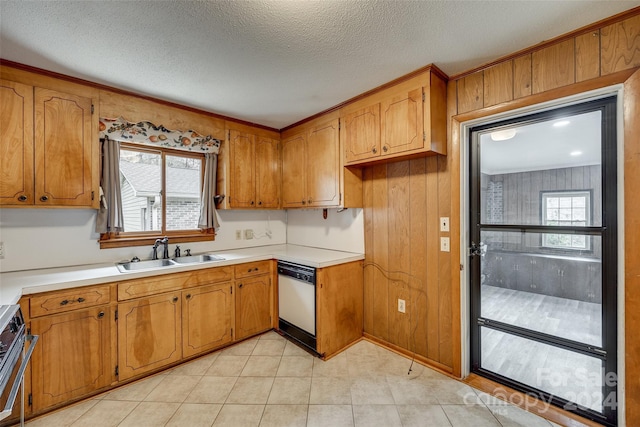 kitchen with dishwasher, plenty of natural light, sink, and stainless steel range