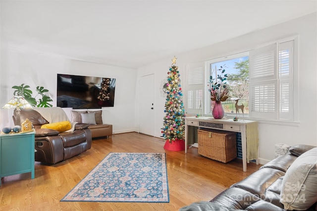 living room featuring light hardwood / wood-style floors