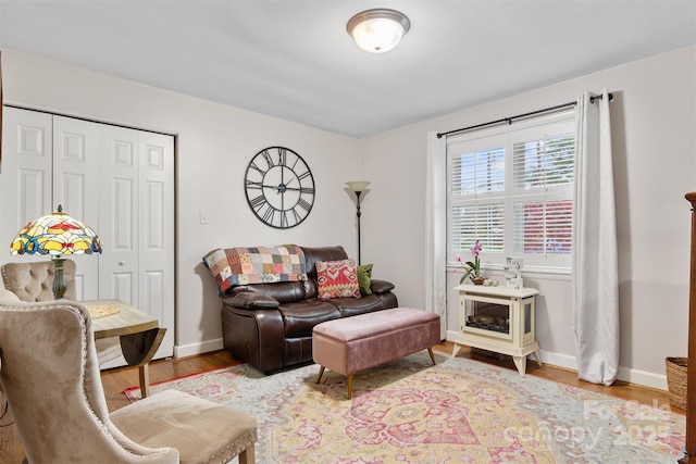 living room featuring light hardwood / wood-style floors