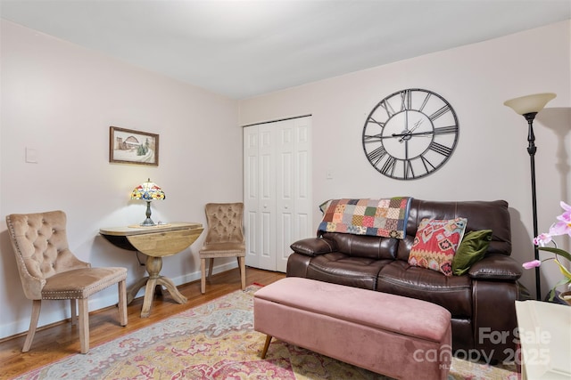 living room with hardwood / wood-style floors