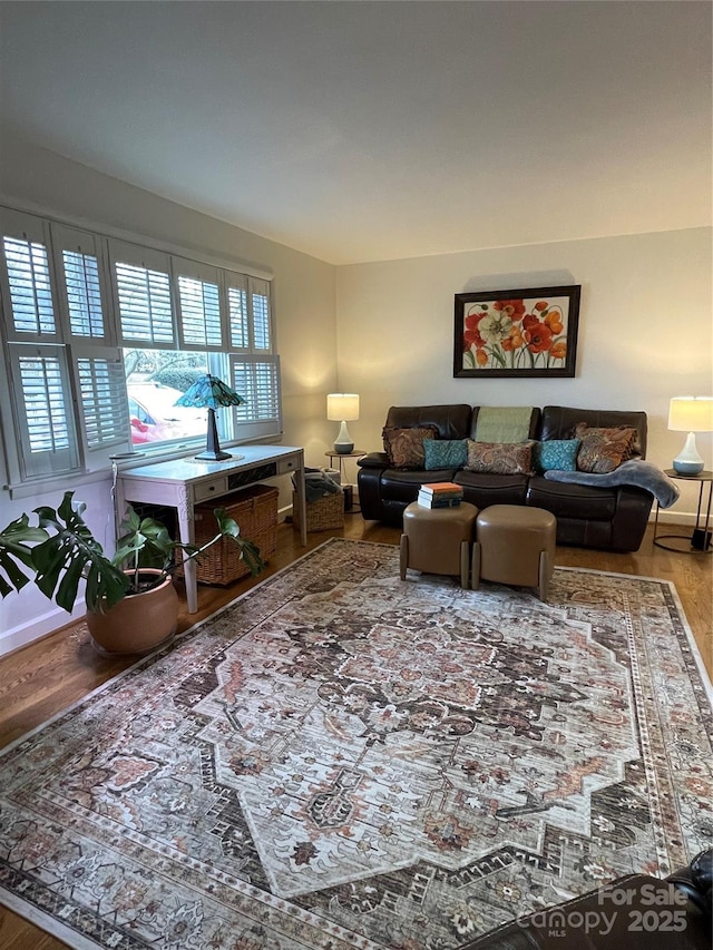 living room with hardwood / wood-style flooring