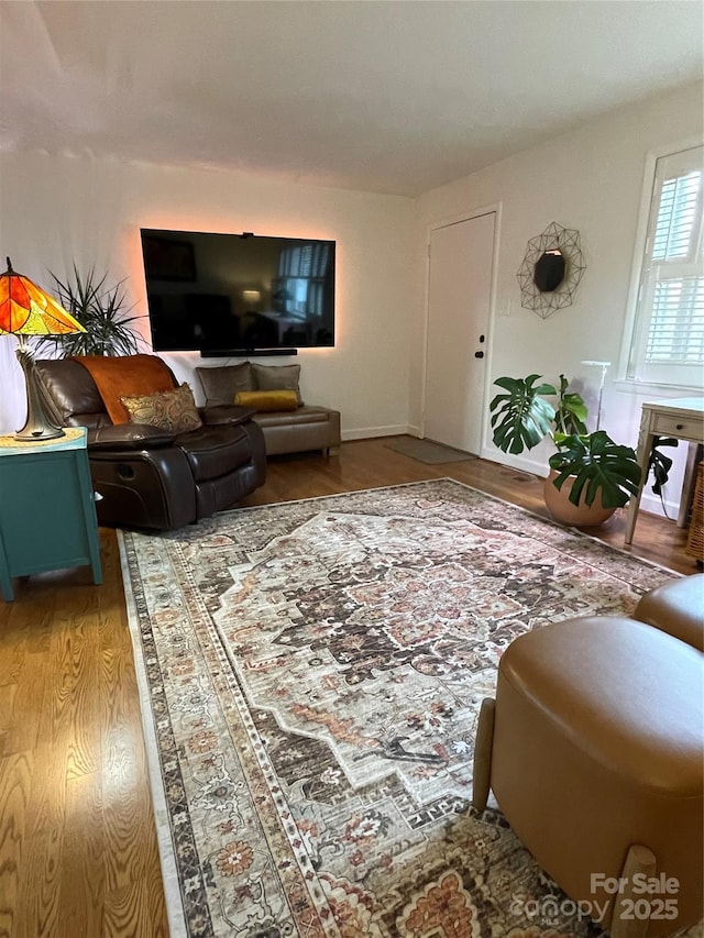 living room with hardwood / wood-style floors