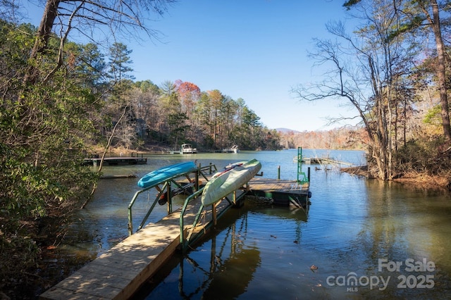 dock area featuring a water view