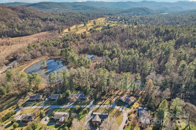 drone / aerial view with a mountain view