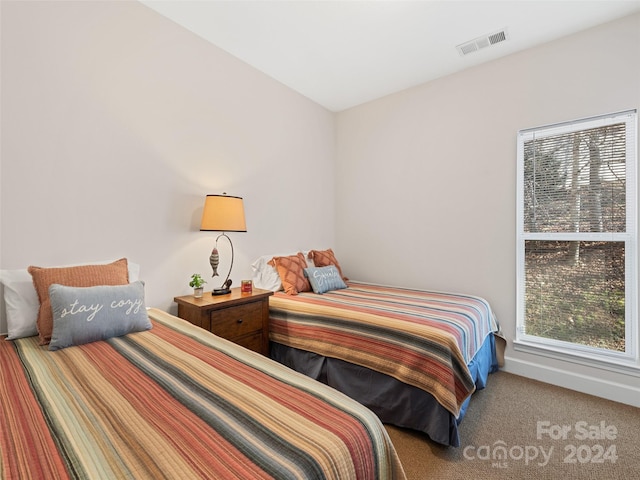 carpeted bedroom with multiple windows